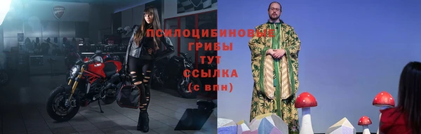 гидра Алексеевка