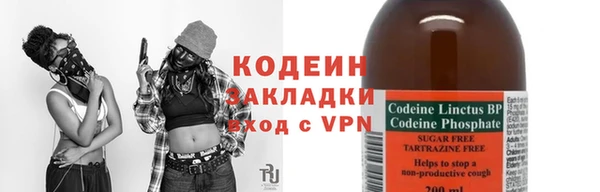 дурь Алексин