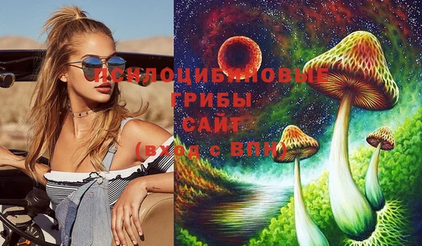 дурь Алексин