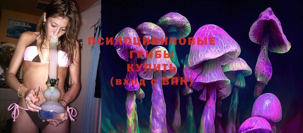 гидра Алексеевка