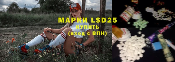 дурь Алексин