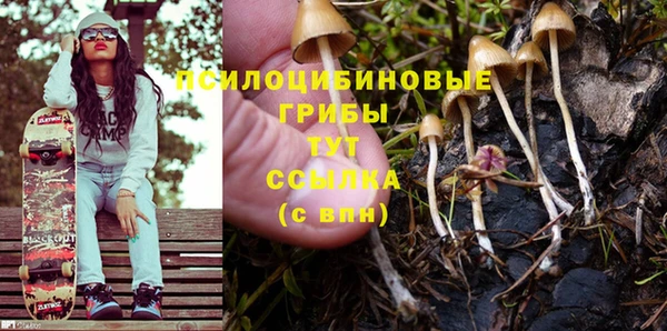 дурь Алексин